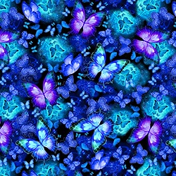 Midnight - Cosmic Butterfly